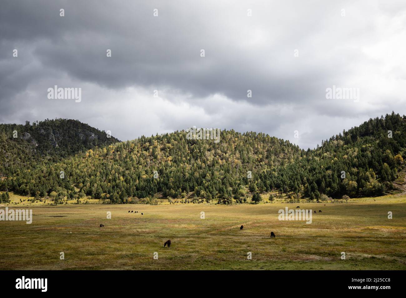 Yunnan province china hike hi-res stock photography and images - Alamy
