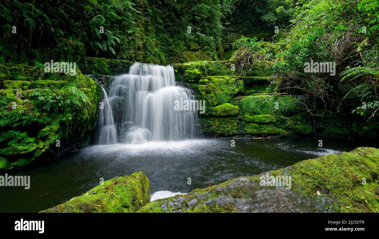 Matai waterfalls, The Catlins, Southland, Aotearoa / New Zealand. Stock Photo