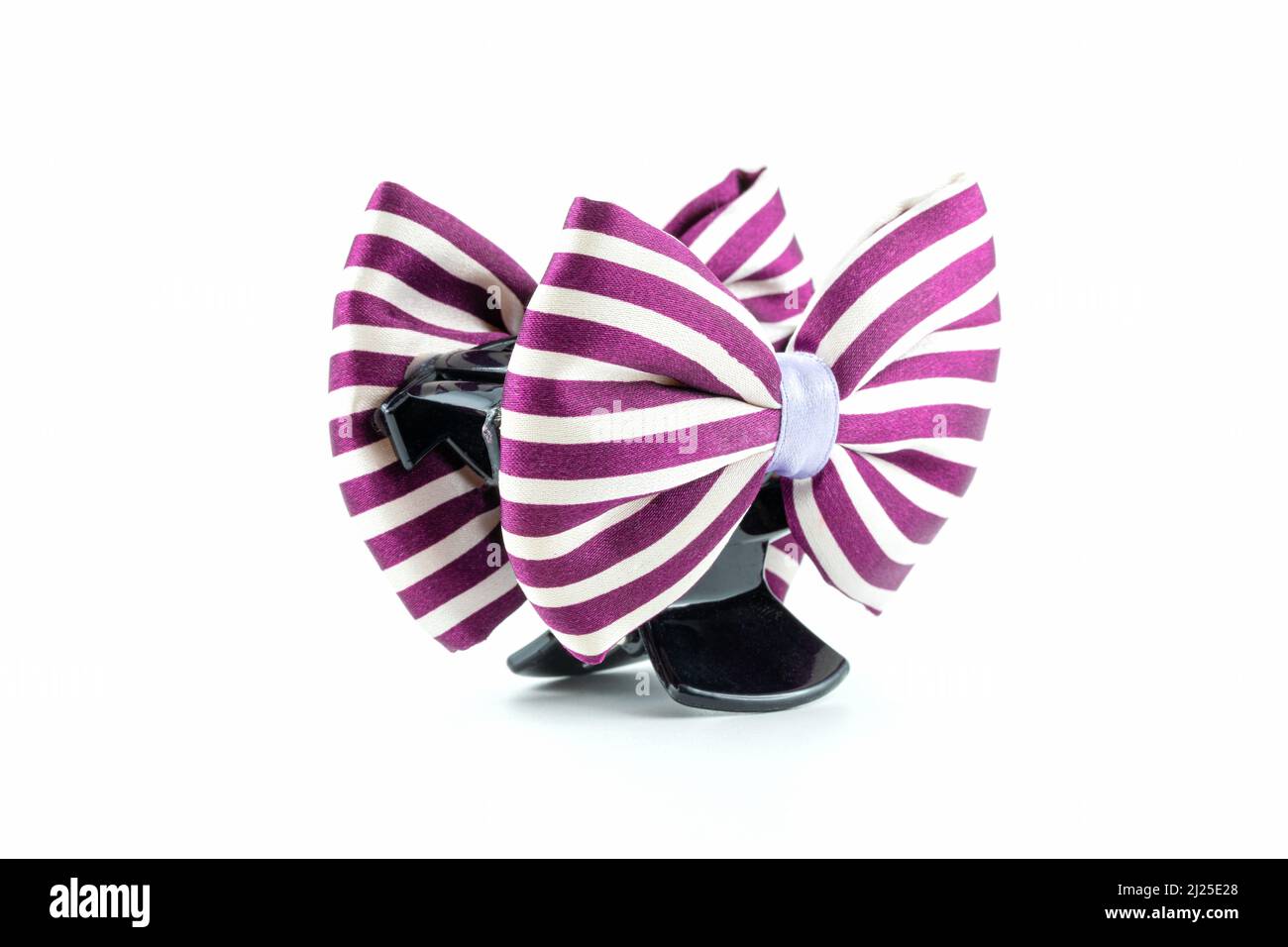 Purple and white stripes hair claw clip made from fabric in ribbon bow shape for woman isolated