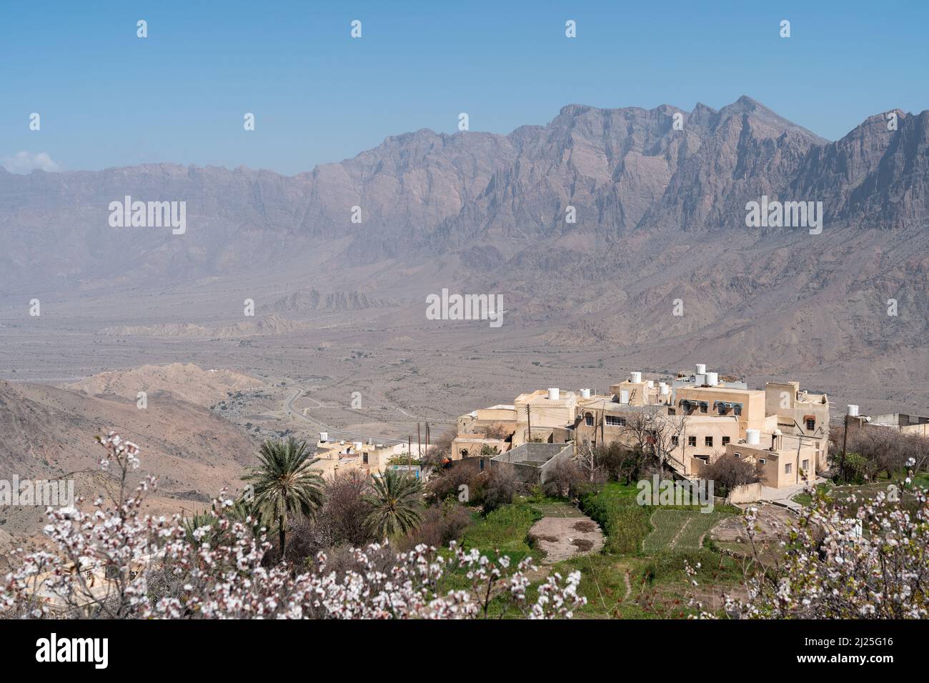 View of the traditional Omani village of Wakan, overlooking the Gubrah Bowl and Hajar Mountains, seen from a blossom and palm filled plantation above Stock Photo