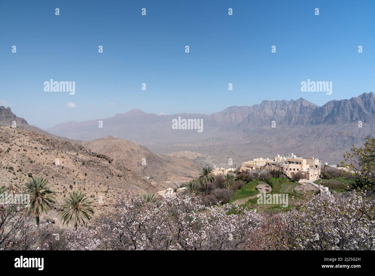 View of the traditional Omani village of Wakan, overlooking the Gubrah Bowl and Hajar Mountains, seen from a blossom and palm filled plantation above Stock Photo