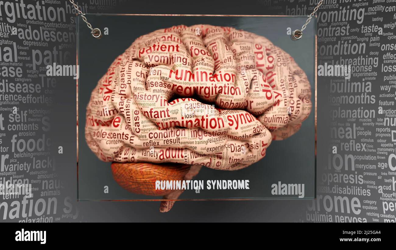 Rumination syndrome anatomy its causes and effects projected on a human brain revealing