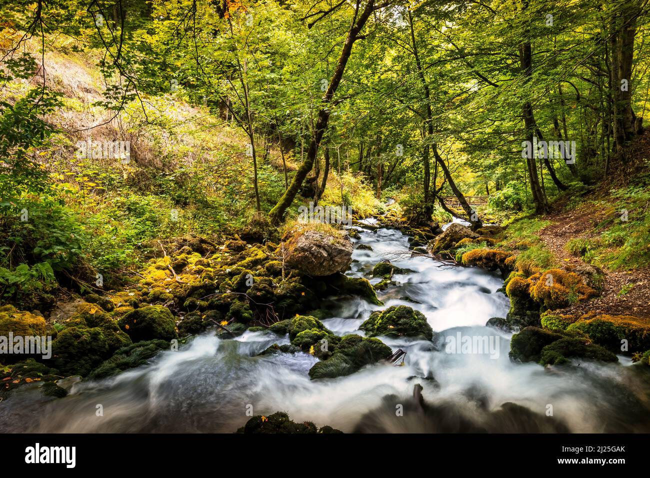 Flowing river among trees hi-res stock photography and images - Alamy