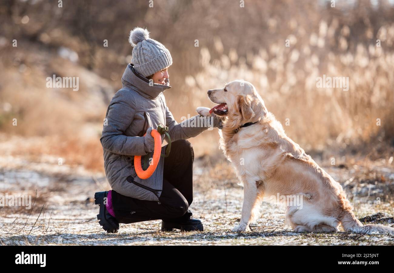 Golden retriever dog with woman Stock Photo - Alamy