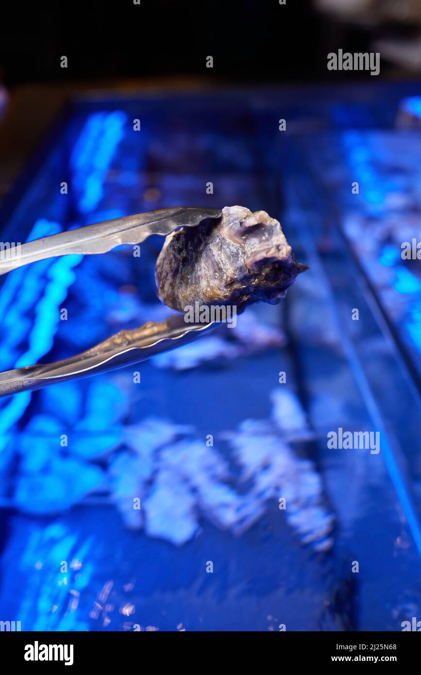The process of opening oysters, a knife for oysters, male hands open
