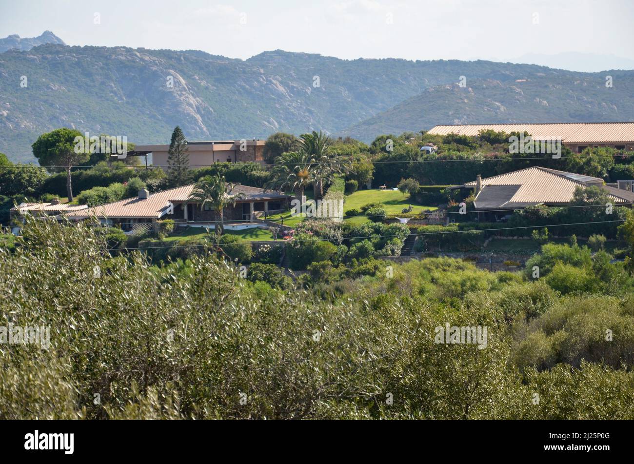 Some big villas with big orange tiled roofs and palm trees in the garden behind some bushes on the hills of the island of Sardinia Stock Photo