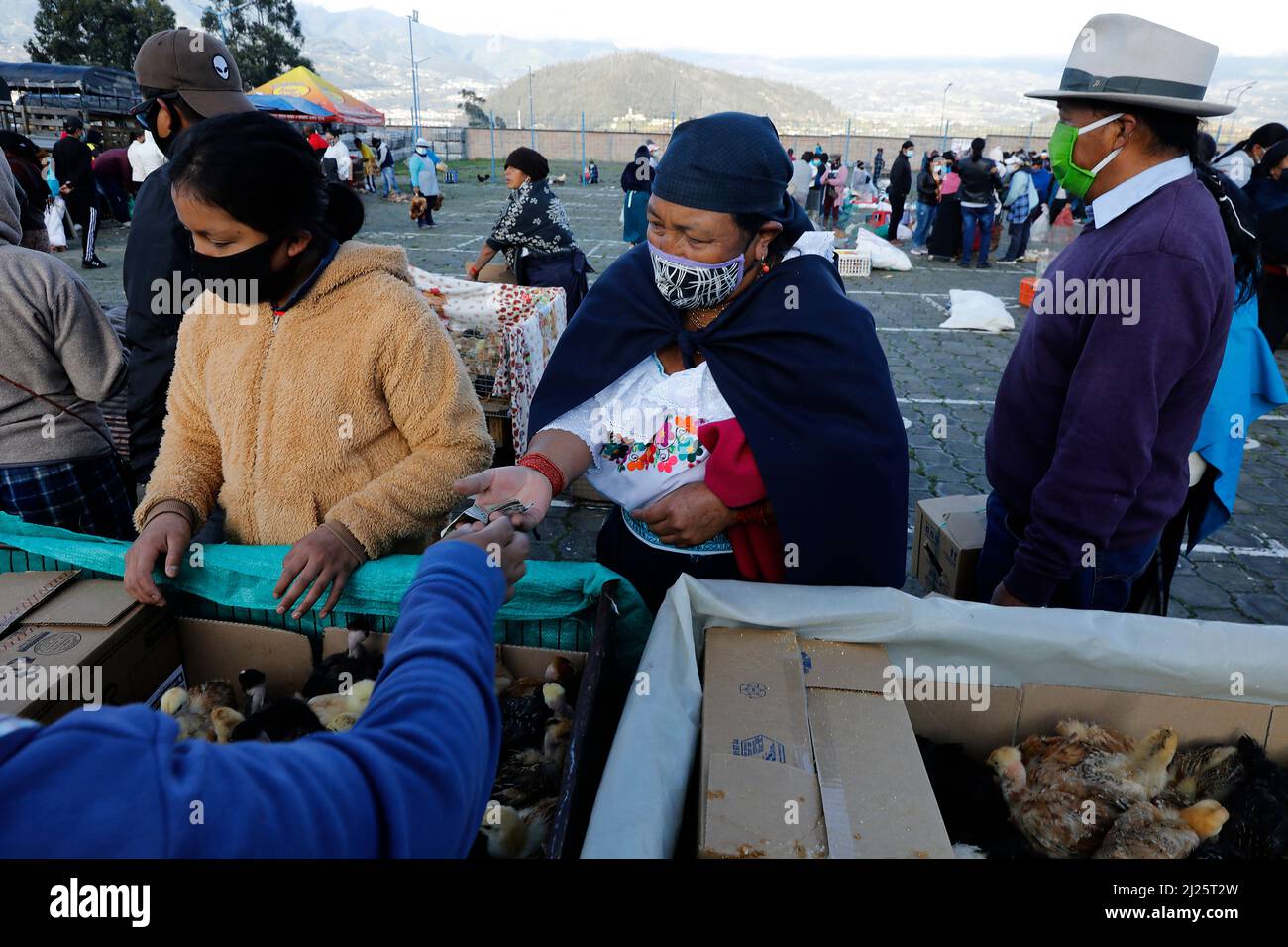 Otavalo weekly market, Ecuador Stock Photo