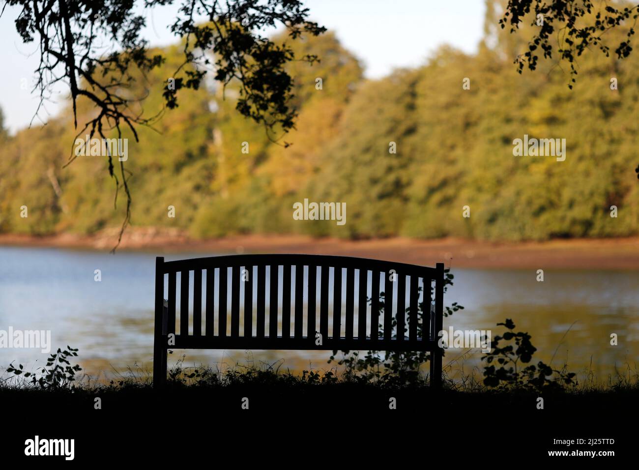 An empty bench facing a lake and a forest. Stock Photo