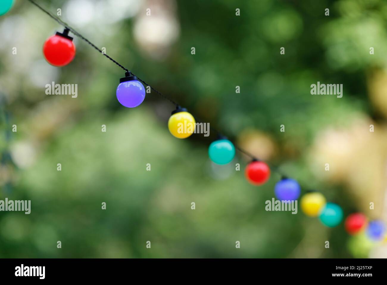 Christmas lights in a garden Stock Photo Alamy
