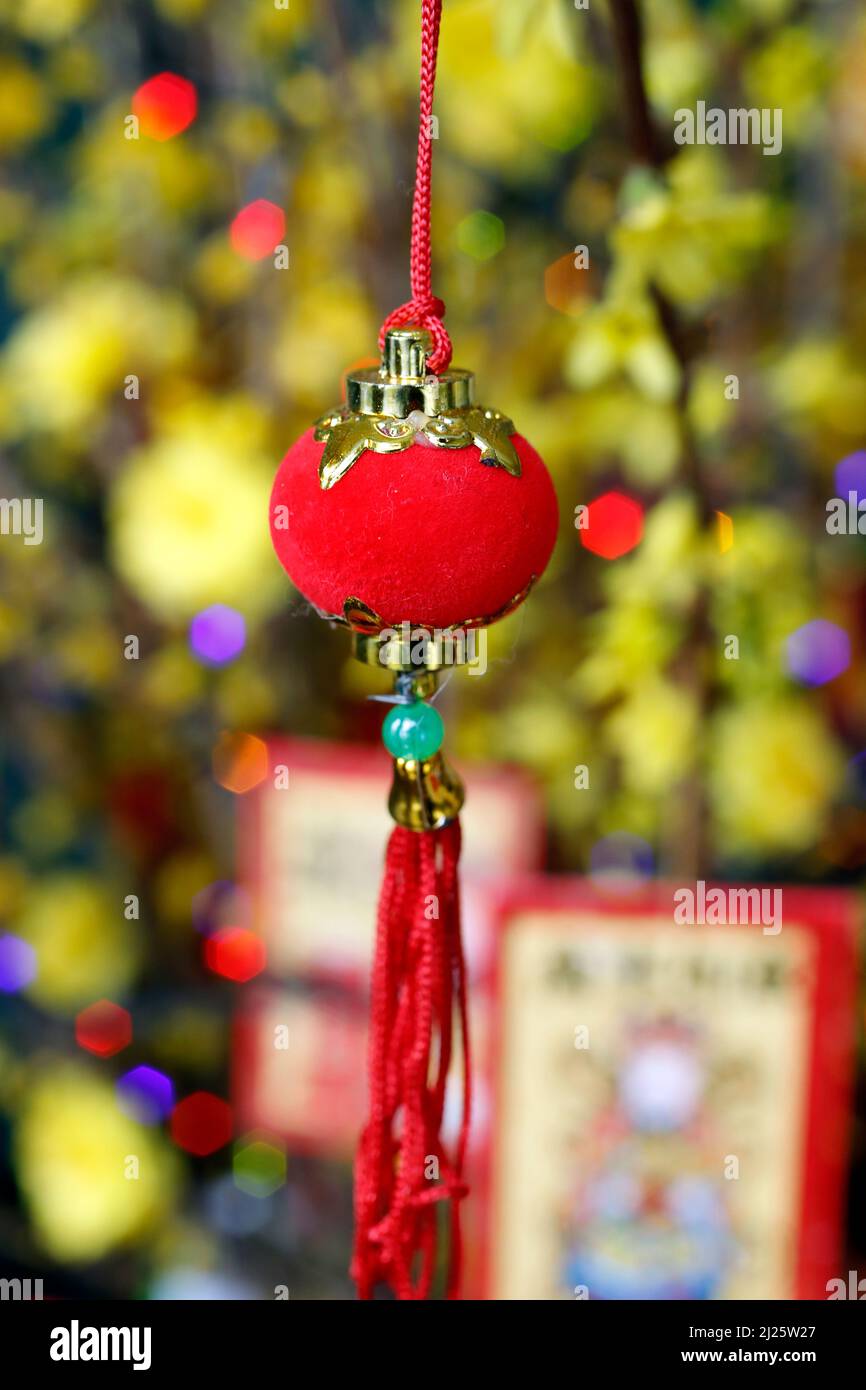 Chinese Lunar New Year. Yellow tree decorated for vietnamese Tet celebration.  Religion at home. Stock Photo