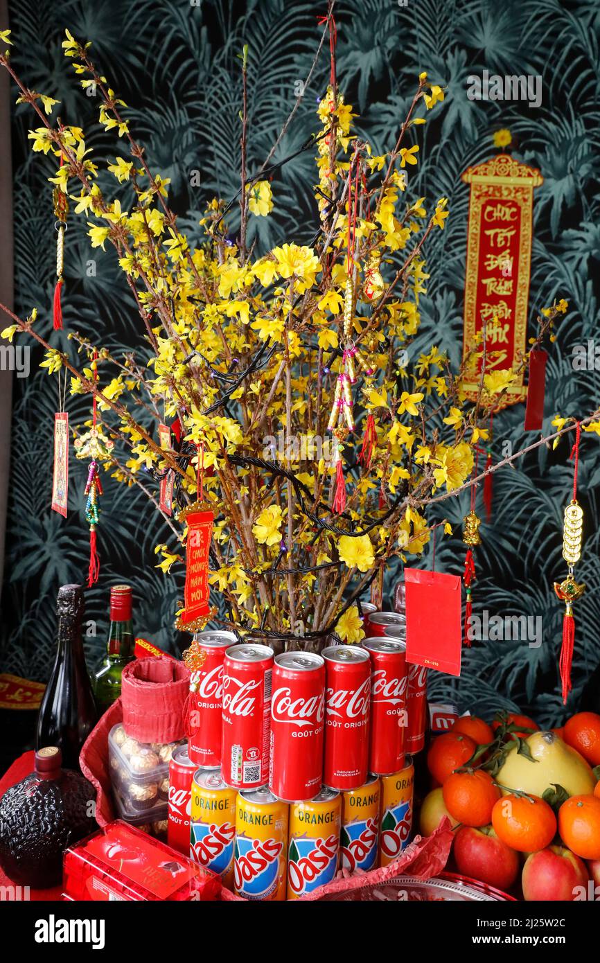 Chinese Lunar New Year. Yellow tree decorated for vietnamese Tet celebration.  Food  and offerings on table. Religion at home. Stock Photo