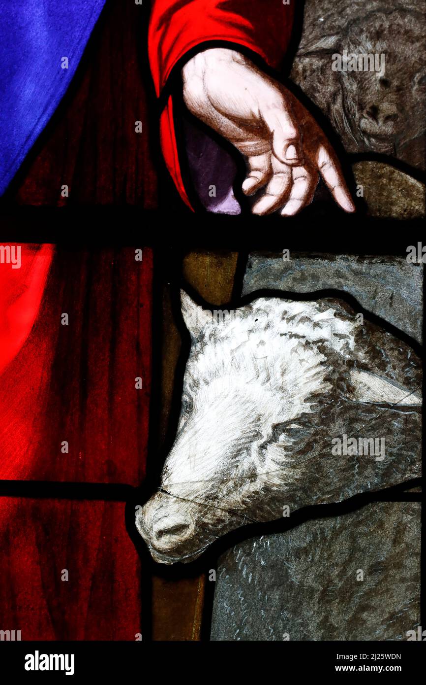 Jesus the good shepper. Close up.  Stained glass window. Stock Photo