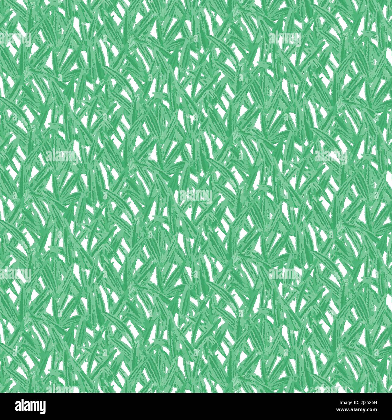 Vector illustration of green grass pattern on white background.nature ...