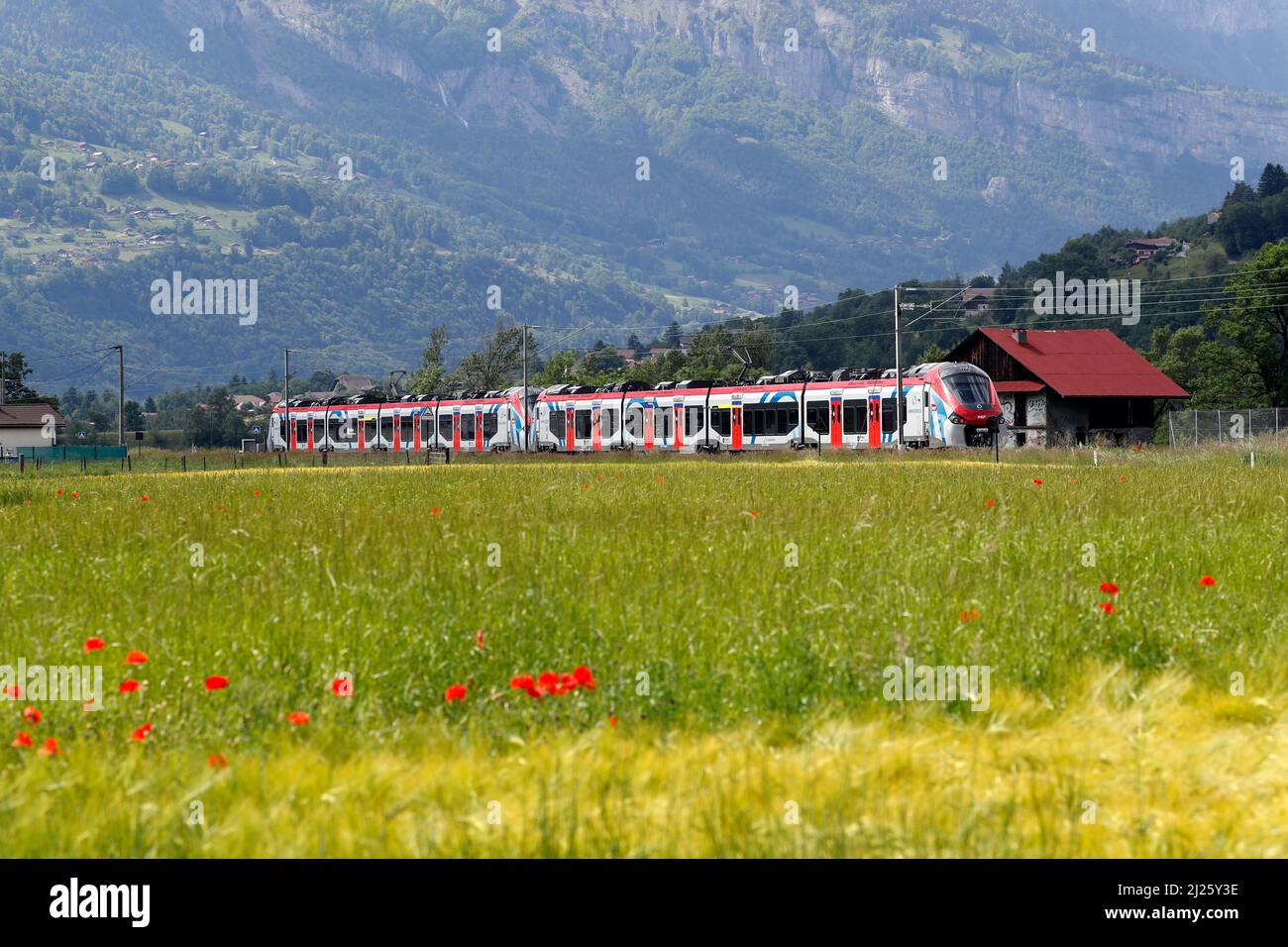 Lemn express hires stock photography and images Alamy