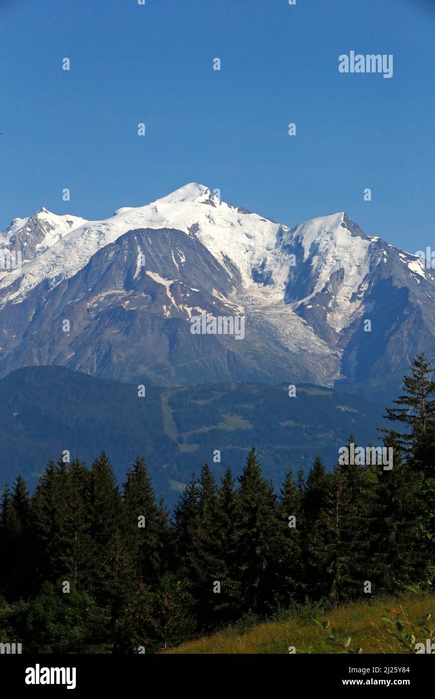 Mont-Blanc massif in summer. French Alps. Stock Photo