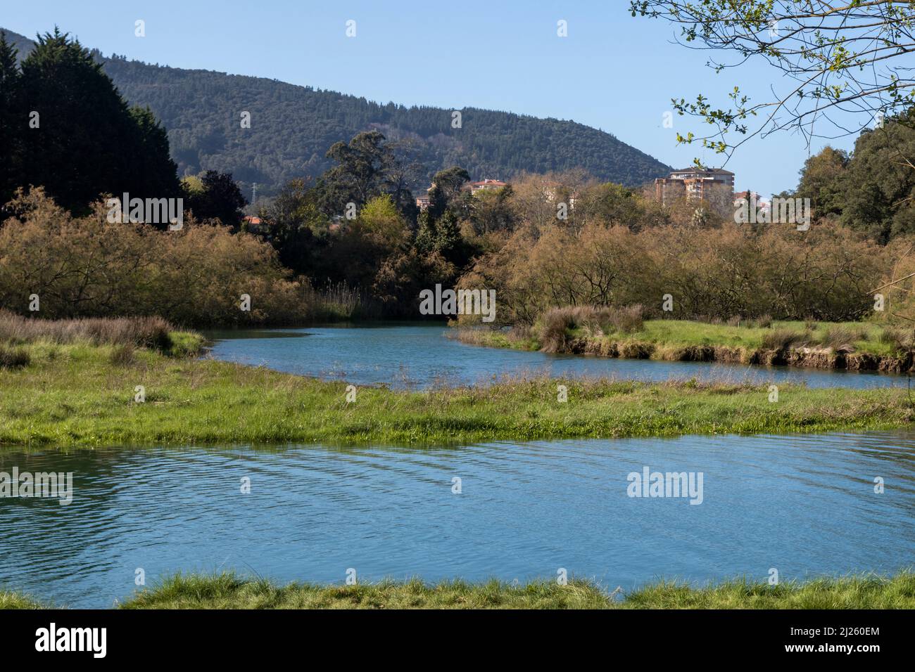 Basque Country Rivers Calm river surrounded green waterfront hi-res stock photography and ...