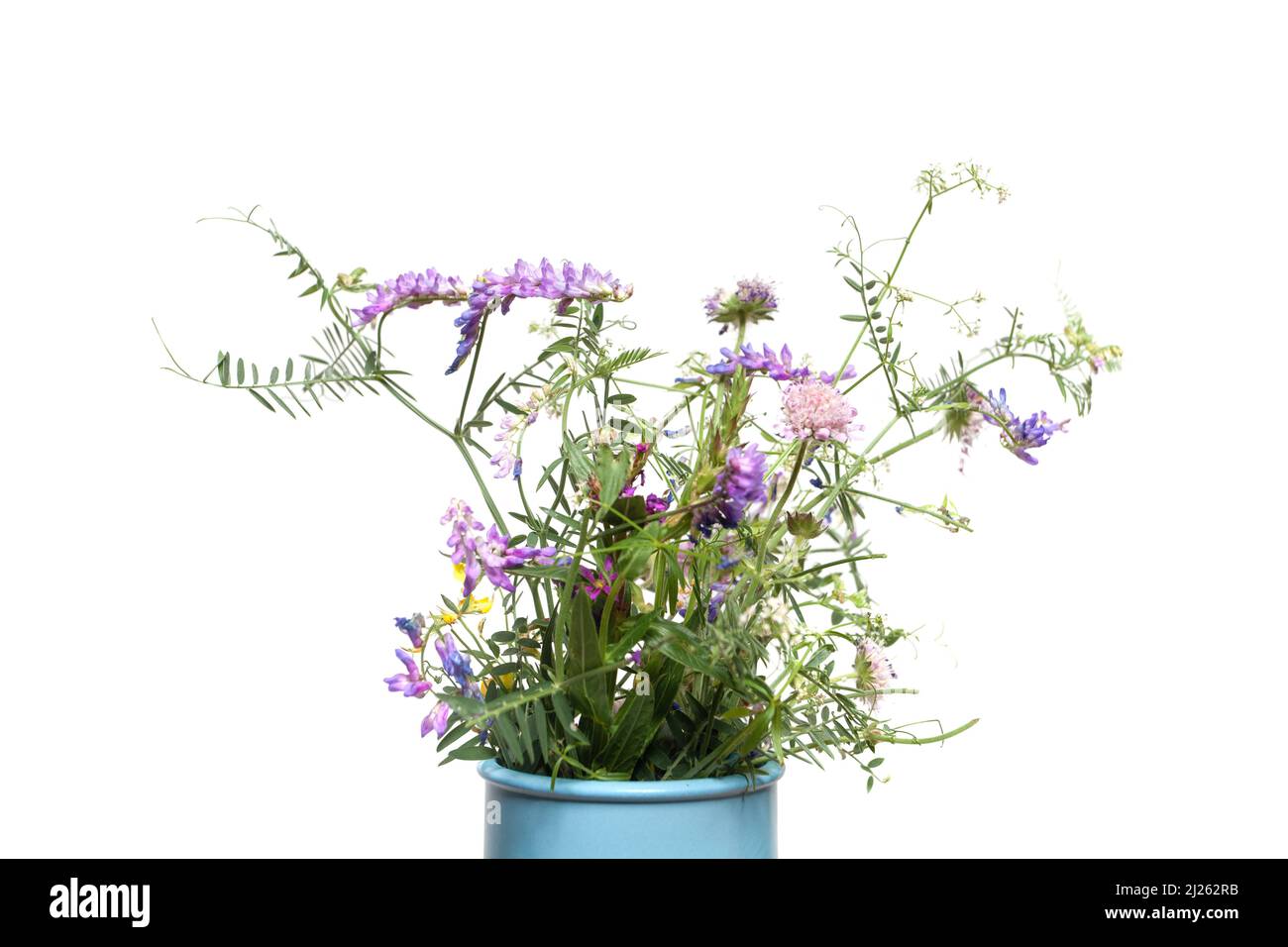 Spring wild flowers bouquet isolated on white Stock Photo - Alamy