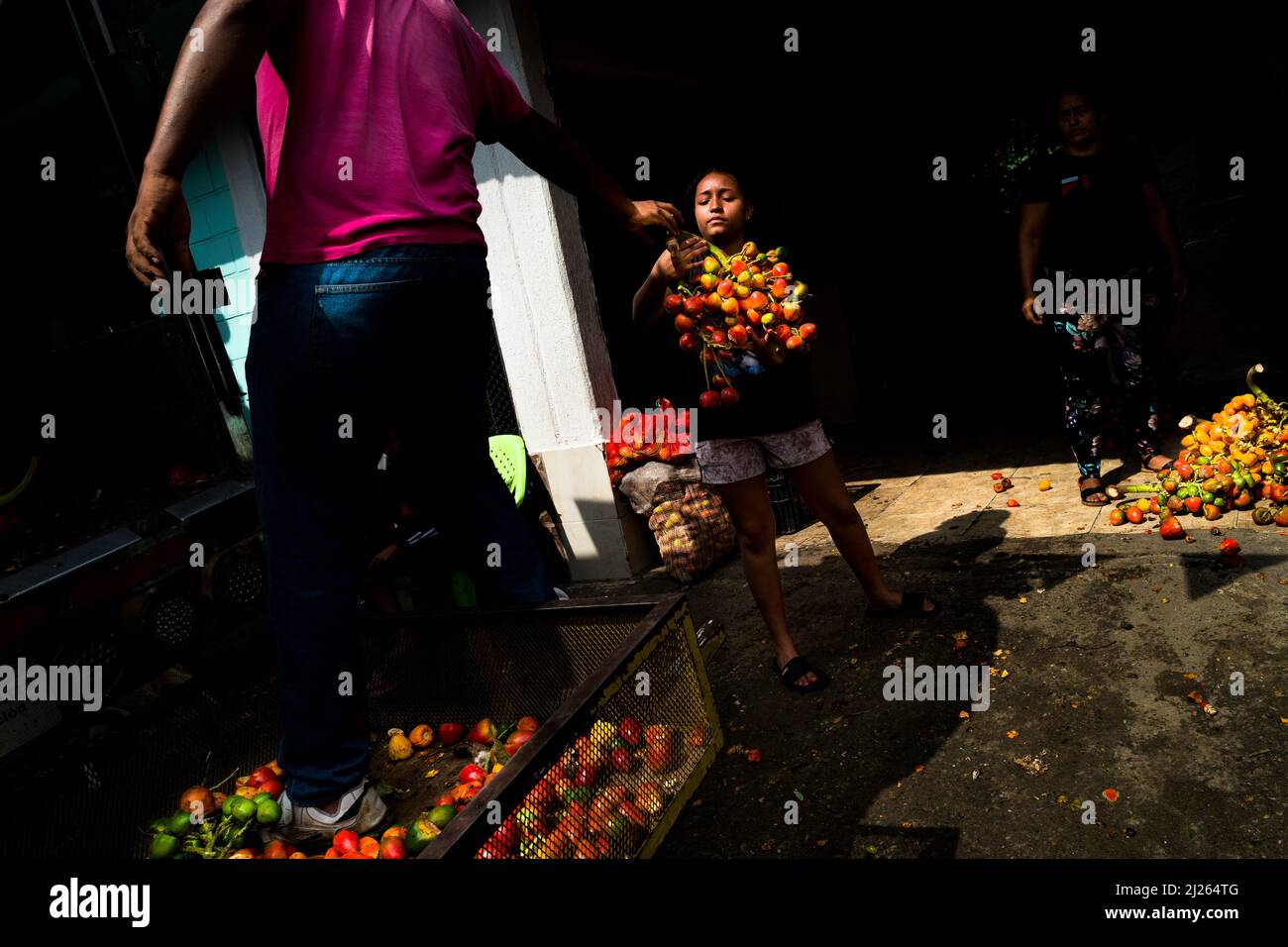 An Afro-Colombian girl unloads chontaduro (peach palm) fruits from a truck in a processing facility in Cali, Valle del Cauca, Colombia. Stock Photo