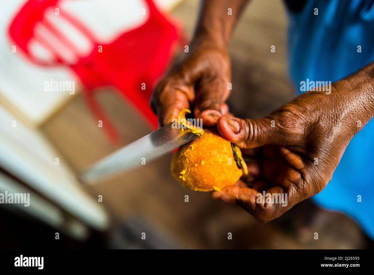 An Afro-Colombian woman peels a freshly cooked chontaduro (peach palm) fruit with a knife on the porch of her house in Quibdó, Chocó, Colombia. Stock Photo