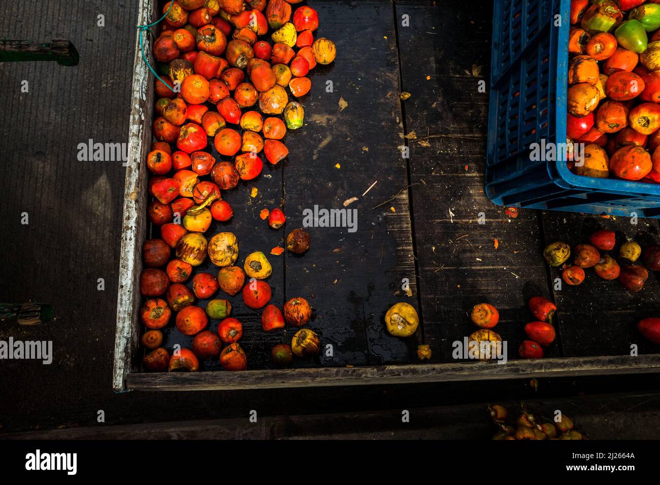 Raw chontaduro (peach palm) fruits are seen offered for sale in a street market in Popayán, Colombia. Stock Photo