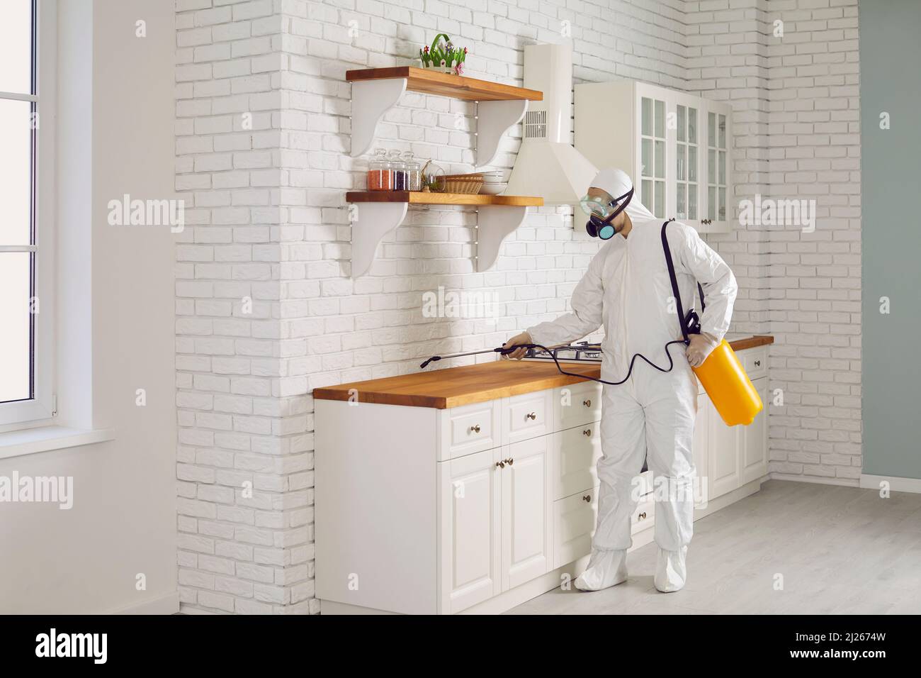 Pest control worker spraying poison to get rid of termites or