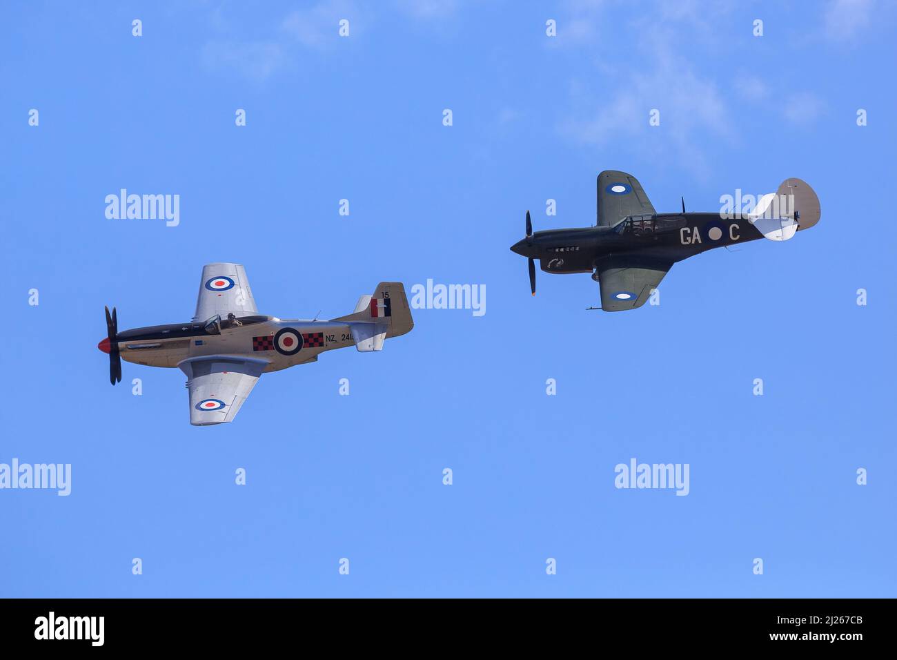 Historic World War II fighter planes, a P-51 Mustang (silver) and a Curtiss P-40 Kittyhawk (green) in flight at an airshow Stock Photo