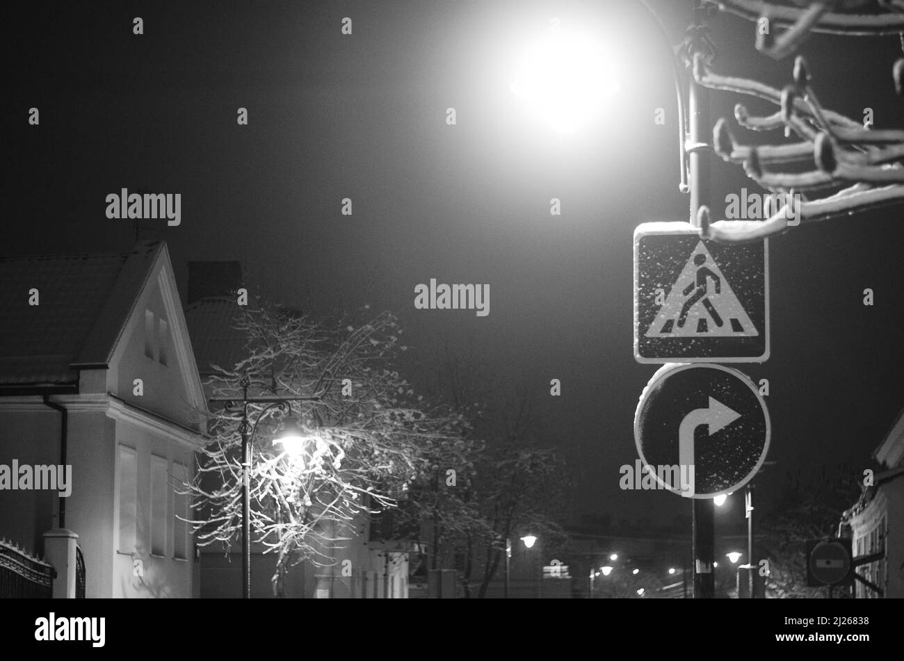 Night winter landscape in the alley of city park Stock Photo - Alamy