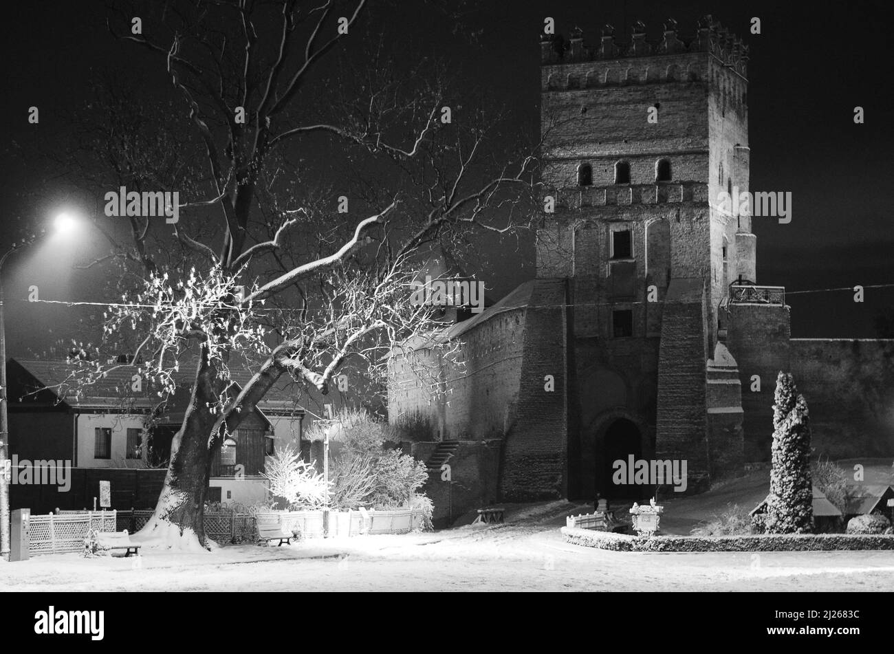 Night winter landscape in the alley of city park Stock Photo - Alamy