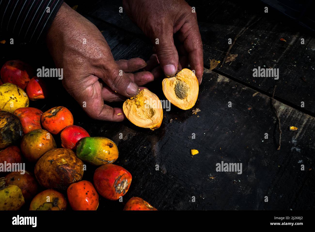 A Colombian vendor shows a halved chontaduro (peach palm) fruit in the street market in Popayán, Cauca, Colombia. Stock Photo