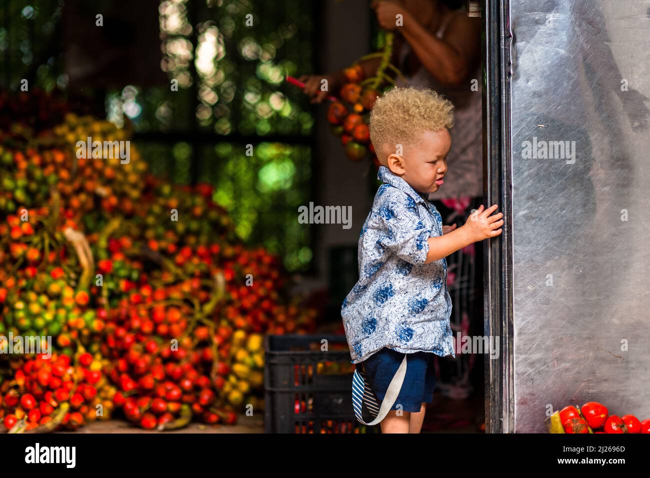 An Afro-Colombian albino boy hangs out during the chontaduro (peach palm) fruit processing in a facility in Cali, Valle del Cauca, Colombia. Stock Photo