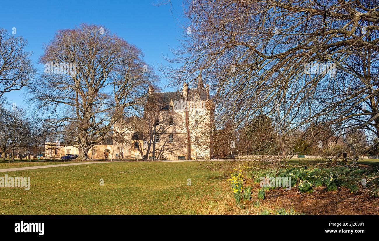 BRODIE CASTLE FORRES MORAY SCOTLAND THE CASTLE GROUNDS BEECH TREES AND