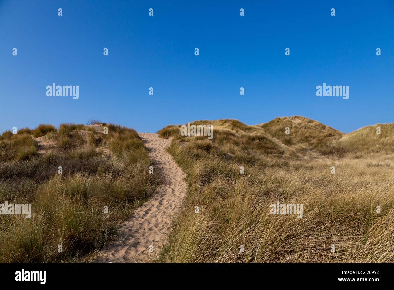 A pathway over maram grass covered sand dunes, at Formby in Merseyside Stock Photo