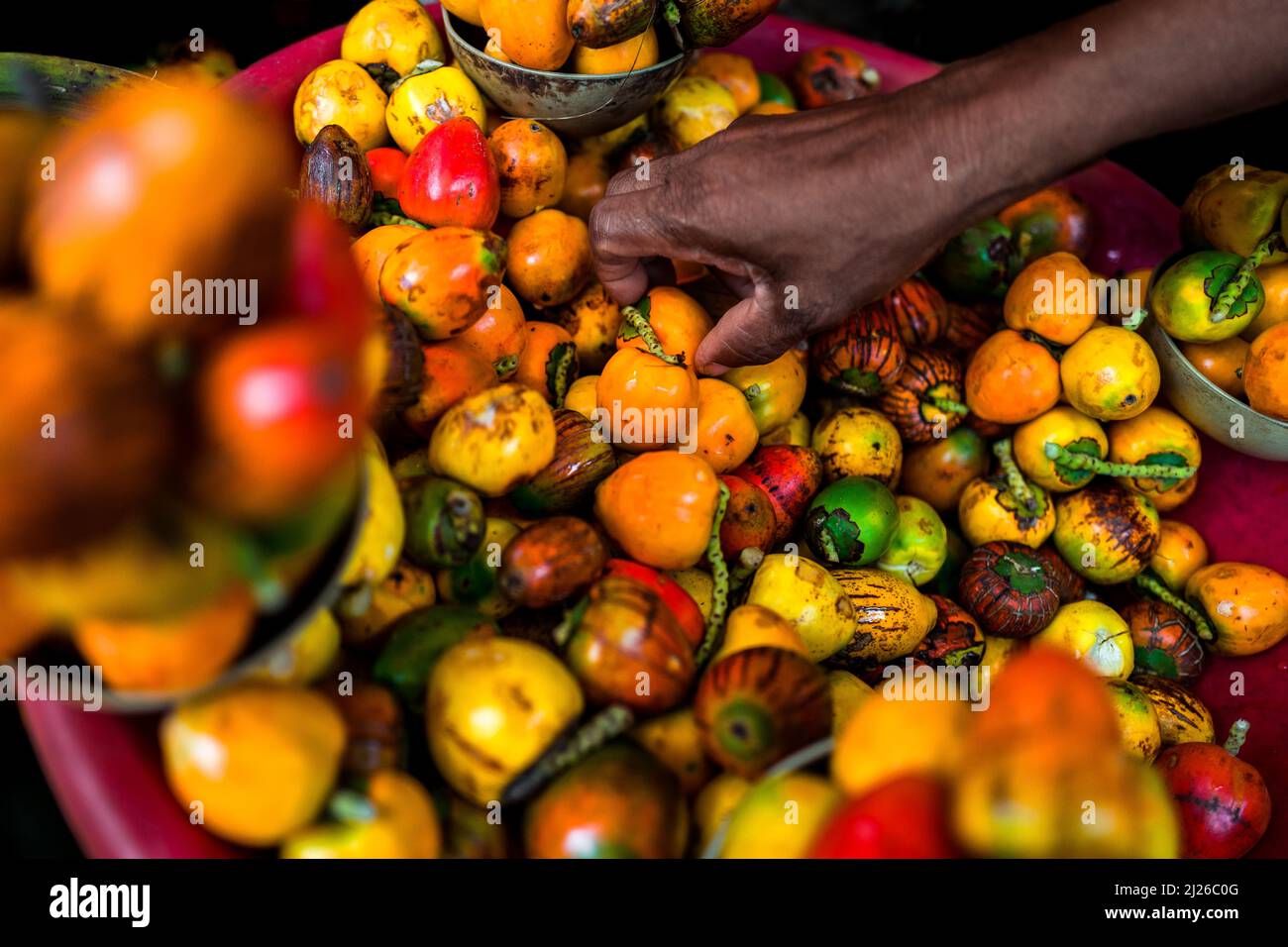 An Afro-Colombian woman sells raw chontaduro (peach palm) fruits in the street market in Quibdó, Chocó, Colombia. Stock Photo
