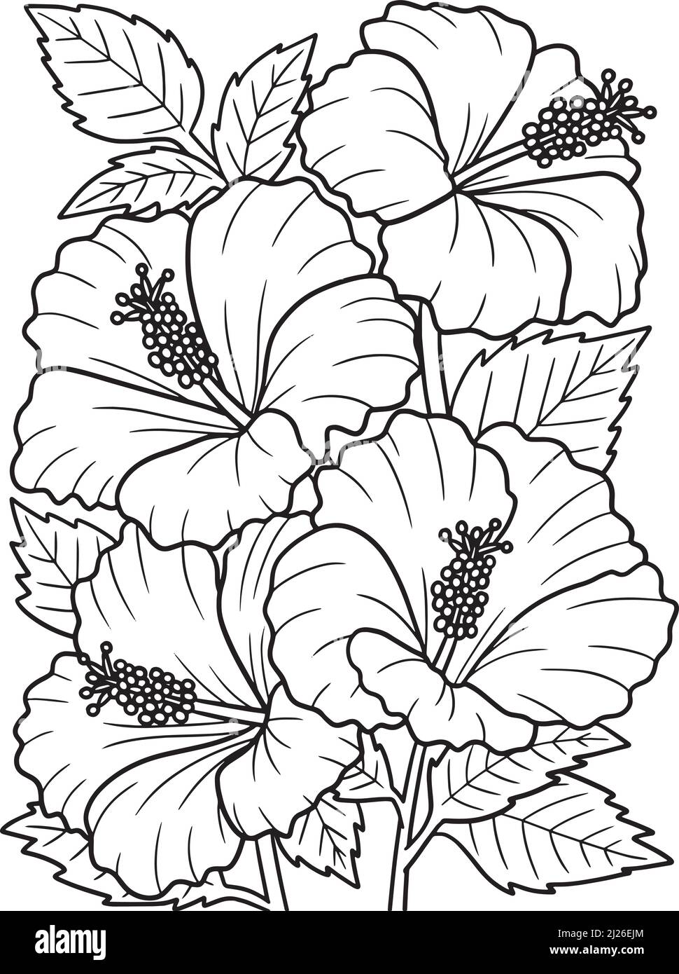 Hibiscus Flower Coloring Page for Adults Stock Vector Image & Art ...