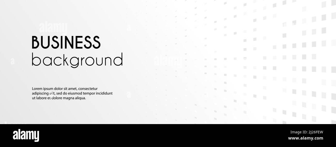 Business background. Abstract white minimal long vector dotted banner