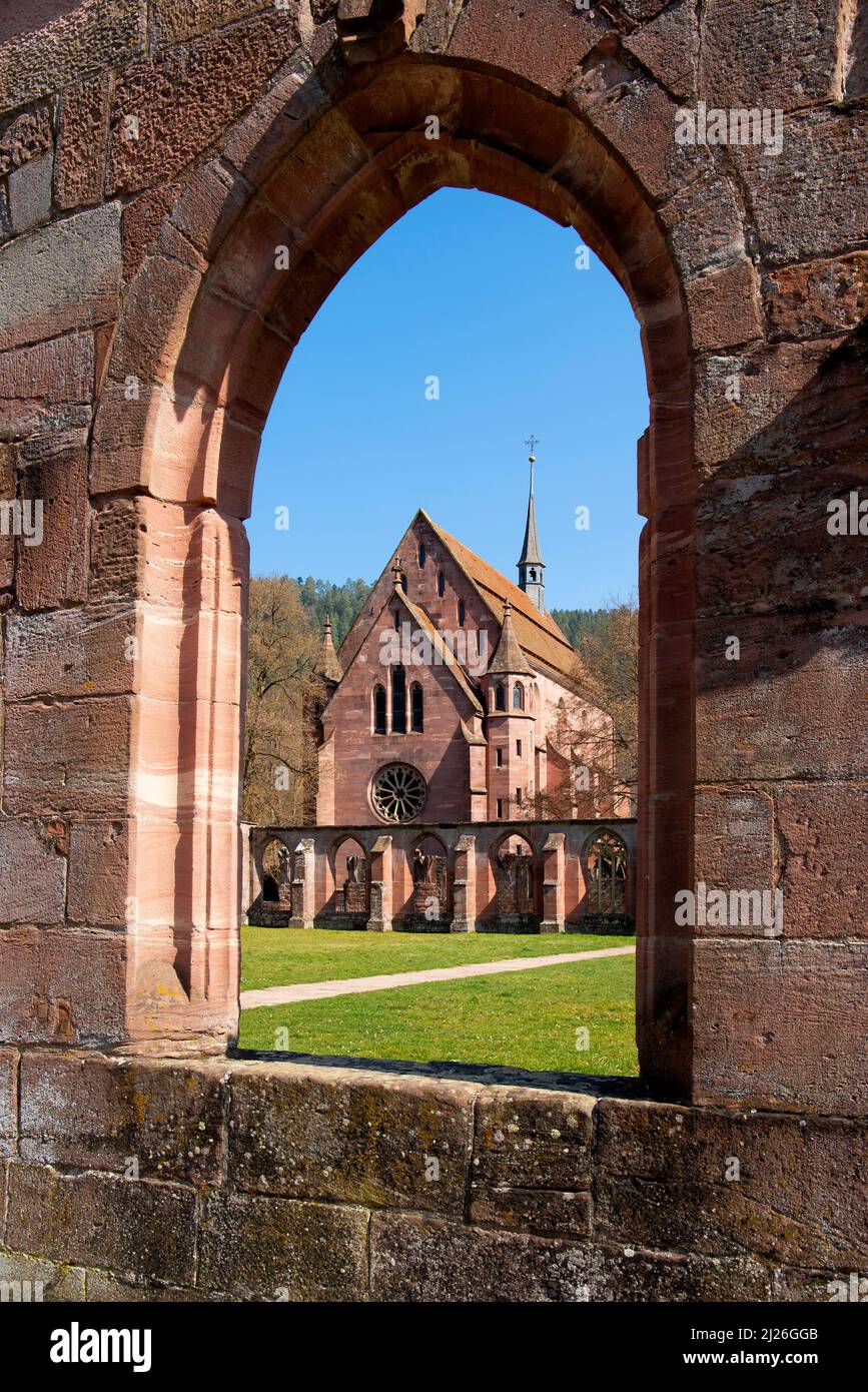 Cloister and Lady Chapel. Monastery Ruins Hirsau, Calw, Germany. The monastery's history dates back to the 9th century, but the basilica and adjacent Stock Photo