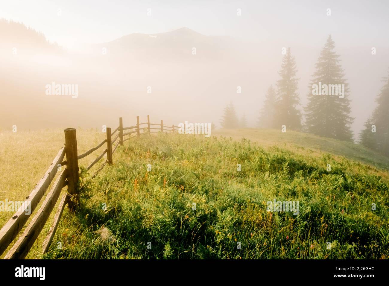 Mountain valley during sunrise. Woden fence on foggy meadow. Located place: Carpathians, Ukraine, Europe Stock Photo