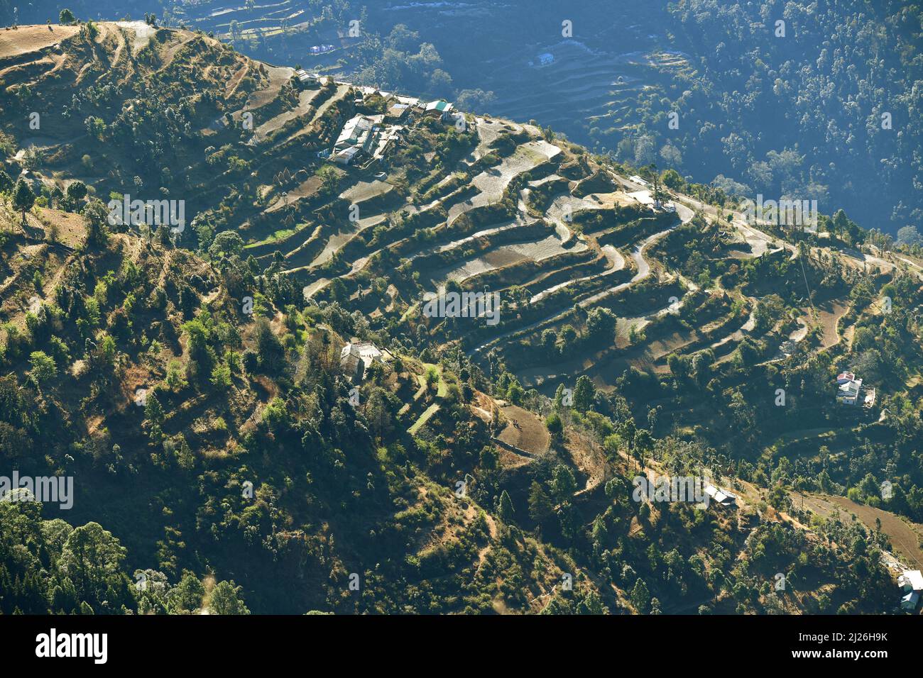 Agricultural Fields and Terraces at the slopes of Pangot, Uttarakhand,  India Stock Photo