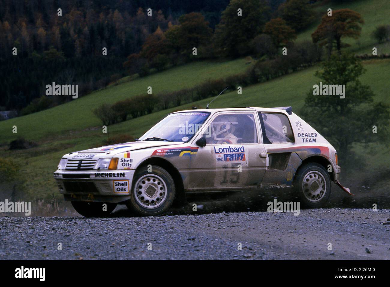 Pin's Rallye Peugeot 205 GTI – Talbot Sport, Team Pascal Berteloot, Rare