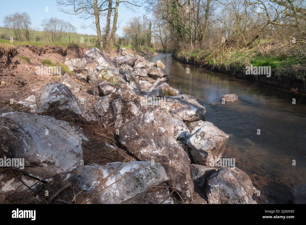 Limestone block stone placed in river in an attempt to stop bank erosion and flooding. This was exacerbated by dredging of gravel further upstream. Stock Photo