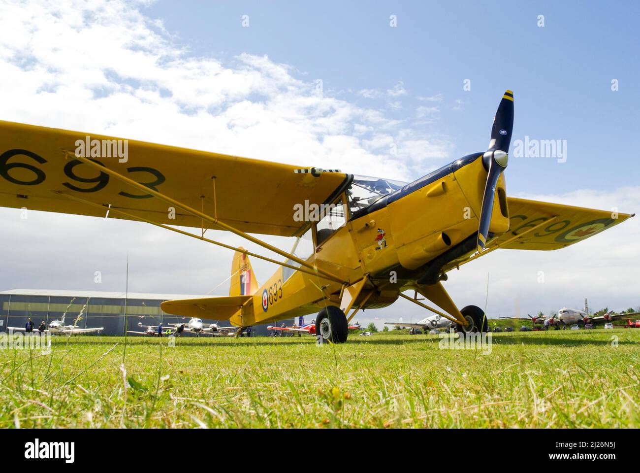Auster J-1N Alpha vintage plane G-BLPG in Canadian Air Force yellow colours, on display at a fly-in event at North Weald, Essex, UK. Auster Autocrat Stock Photo