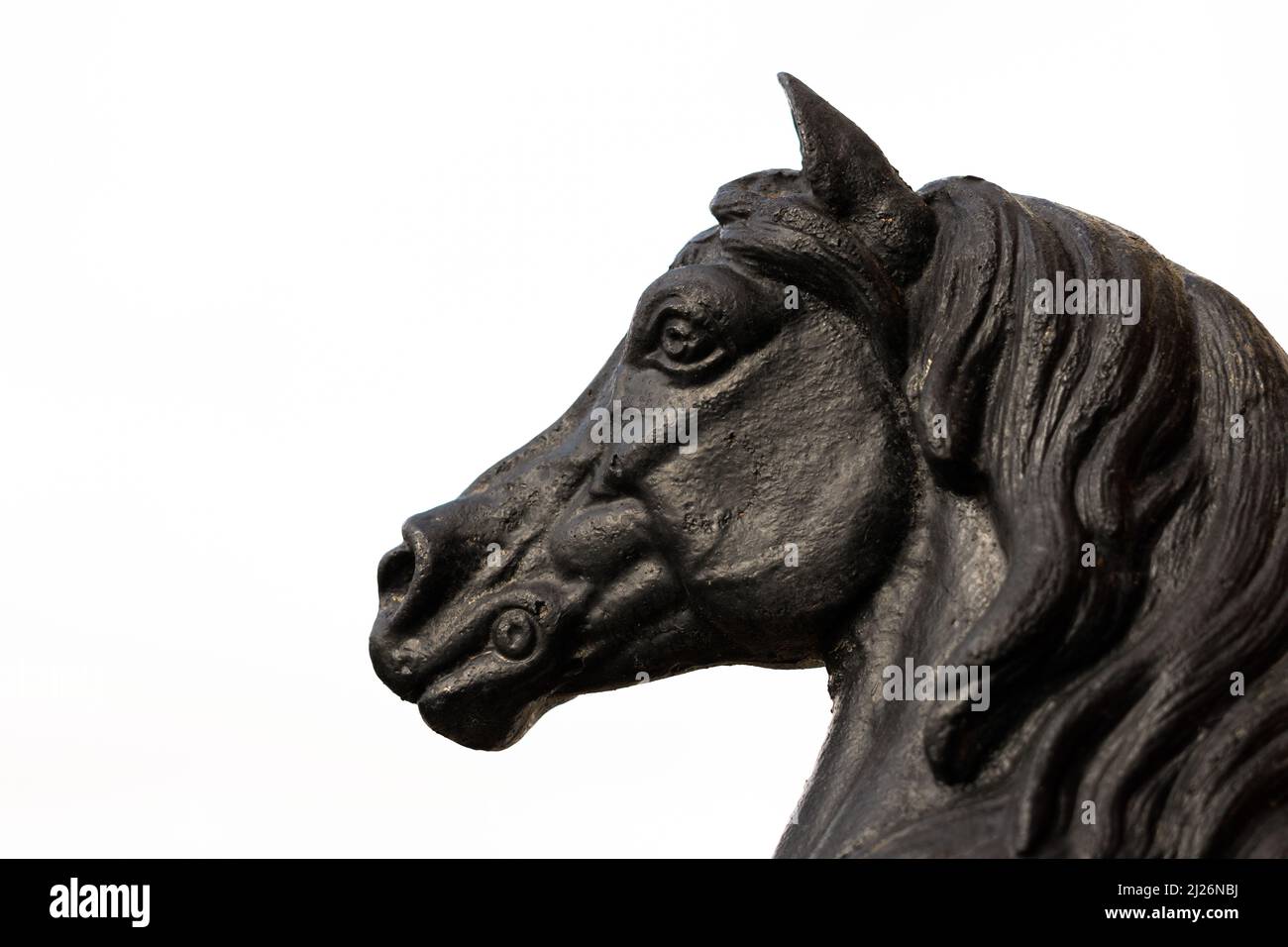 close-up of black bronze statue of a horse's head with white background and copy space Stock Photo