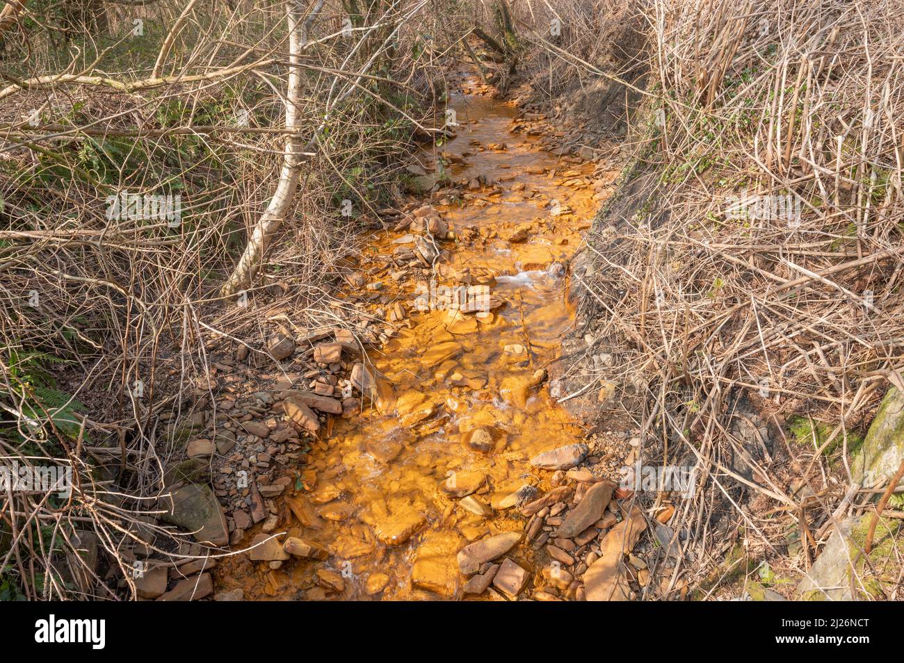 Orange iron oxide staining in stream entering River Neath at Abergarwed