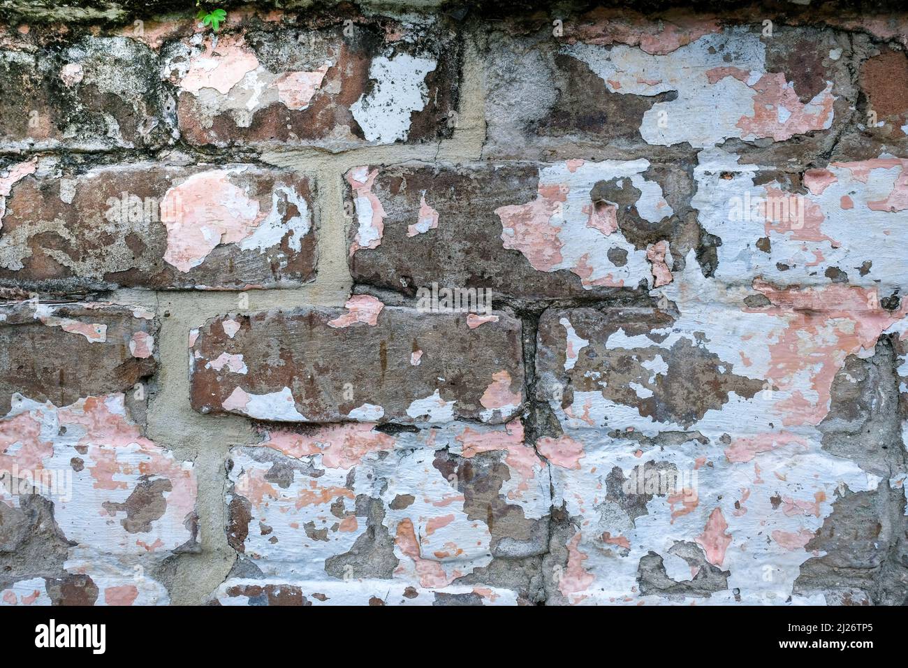Peeling pink and white paint on old brick wall Stock Photo