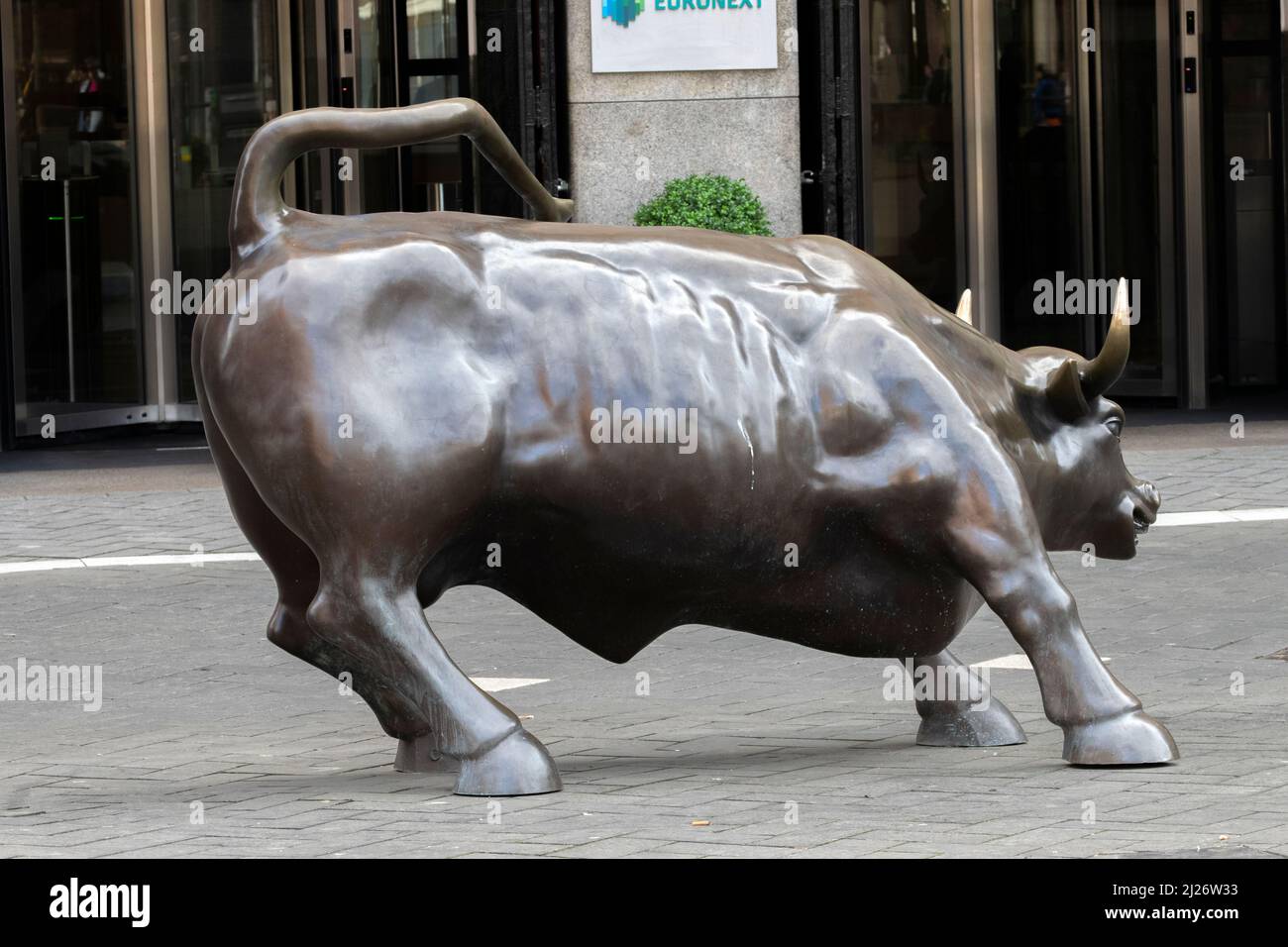 Statue Stier At Amsterdam The Netherlands 14-3-2022 Stock Photo