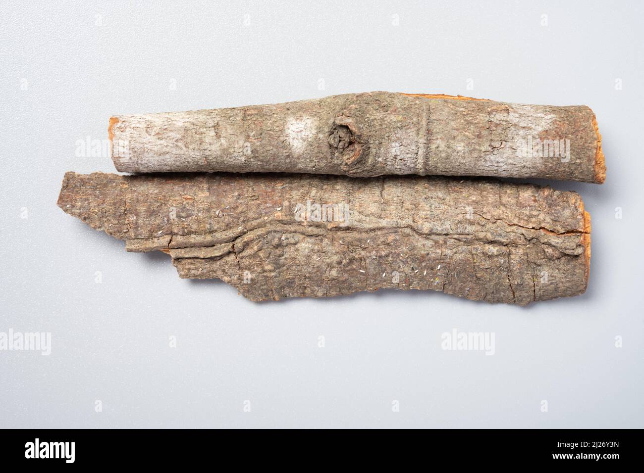 Bark of japanese cinnamon hires stock photography and images Alamy