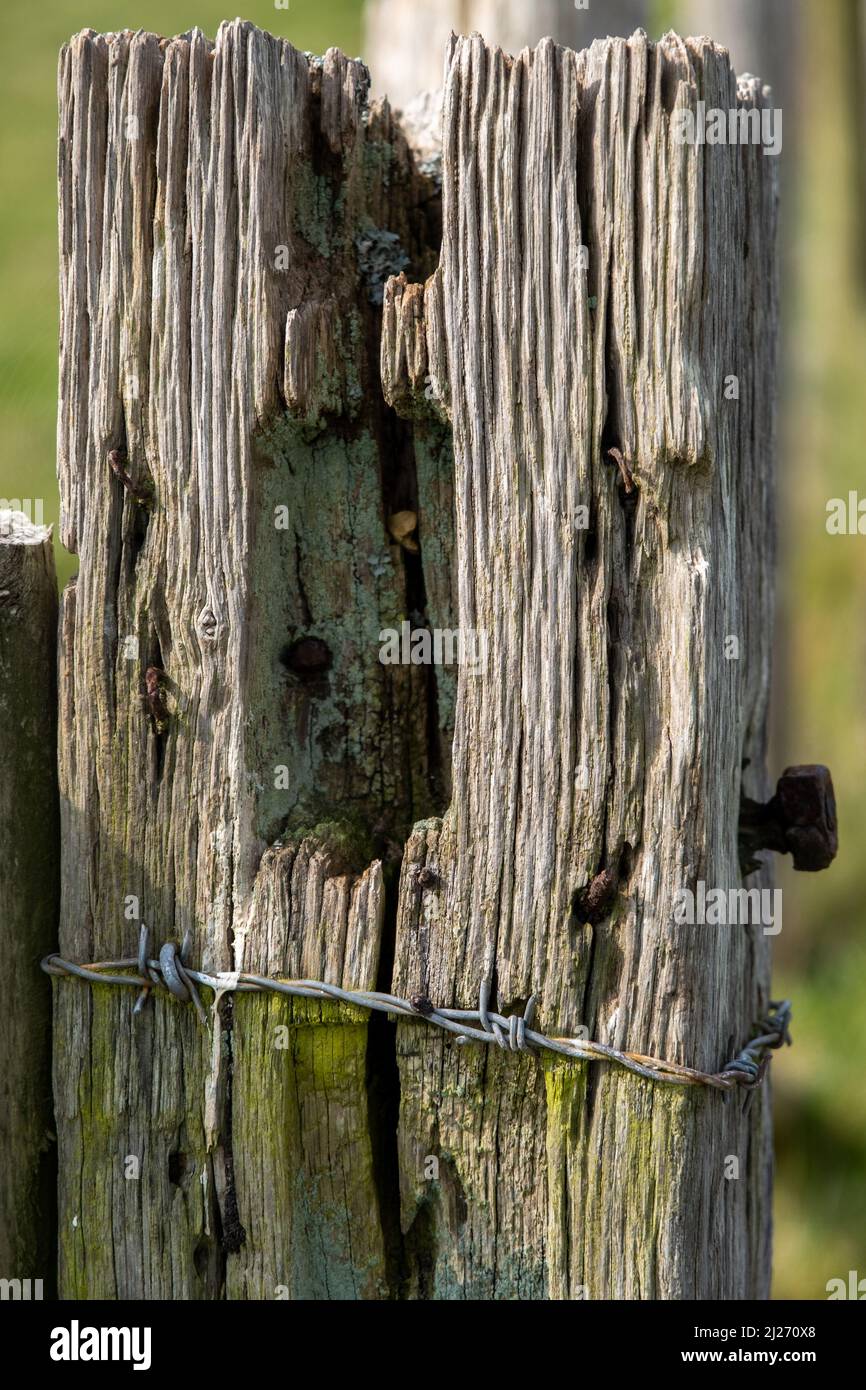Close view of an old fence post and barbed wire Stock Photo - Alamy