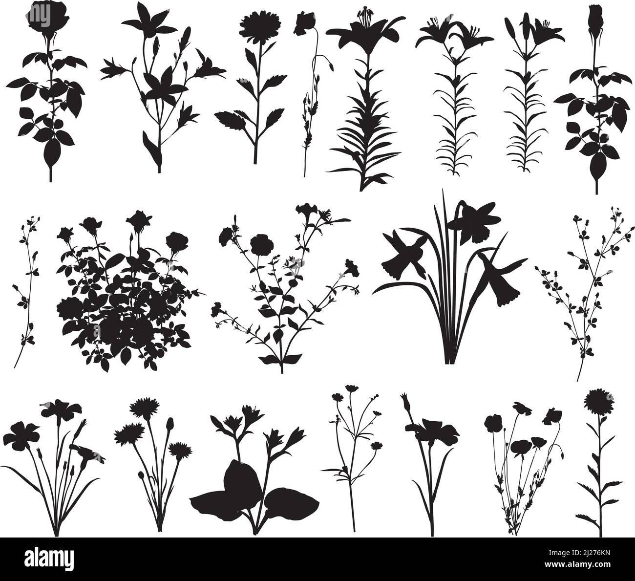 Collection of silhouettes of different species of flowers: rose, lily, narcissus, cornflower, bluebell, poppy, aster, petunia, hosta and others Stock Vector