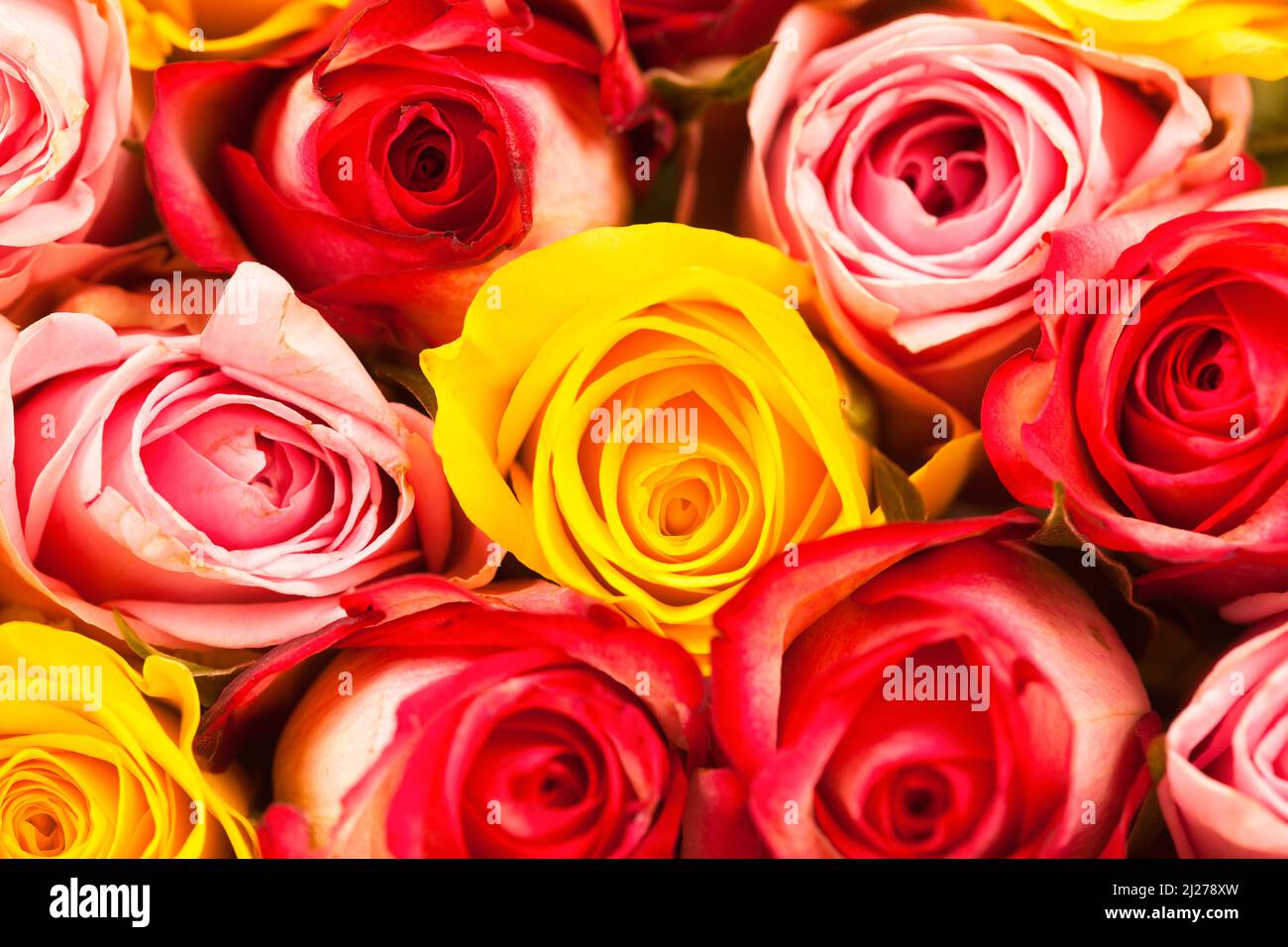 Festive colorful background design hi-res stock photography and images ...