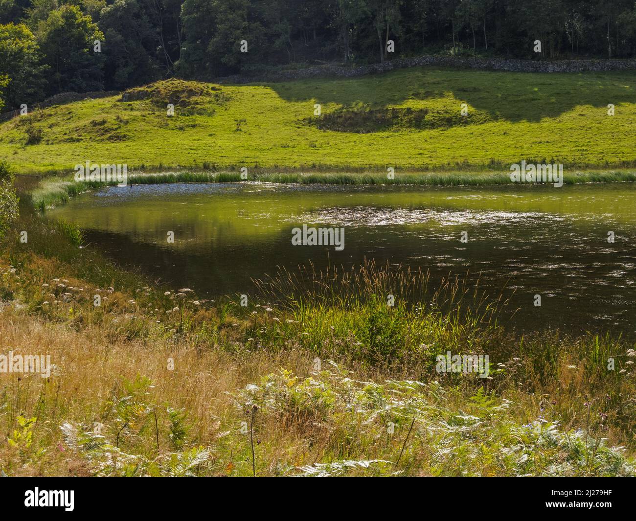 White Moss Tarn near Low Hay Bridge in South Lakeland, Cumbria Stock Photo